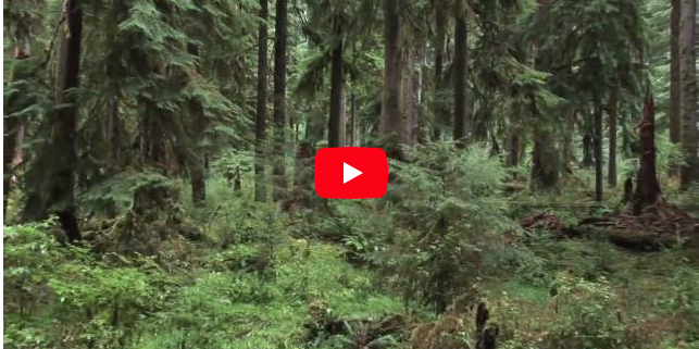 One-Square-InchBUTTON