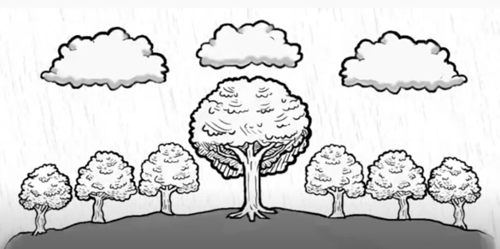 Trauma and the Nervous system