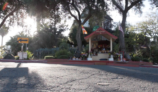 Buddha in Oakland