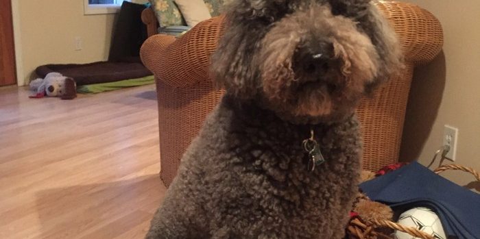 Have you ever felt boxed in_ 1