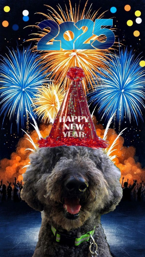 Alex-New-Years sm