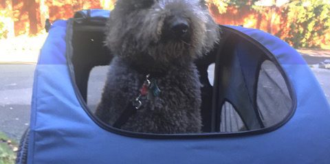 AI – When I was young