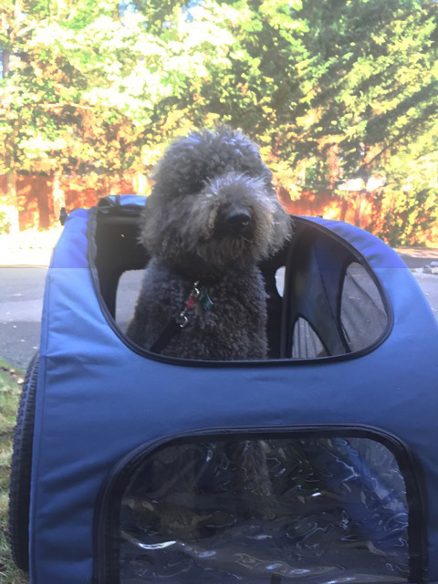 AI – When I was young