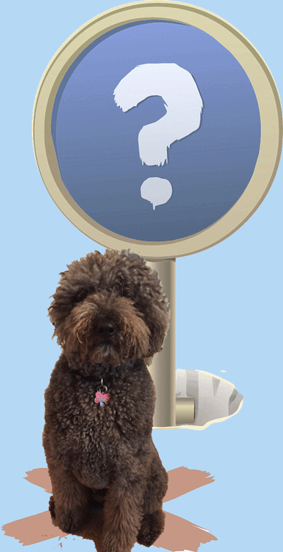 Alex Confused GIFFinalsm