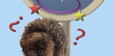 Alex Confused3-2xB2sm