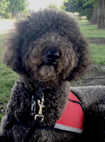 Not Supposed To – Adjusted Levels