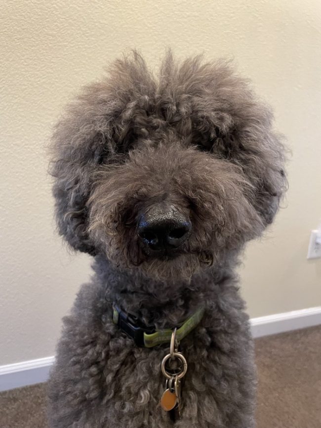 Loneness and Isolation image