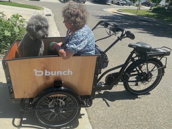 Uber bike