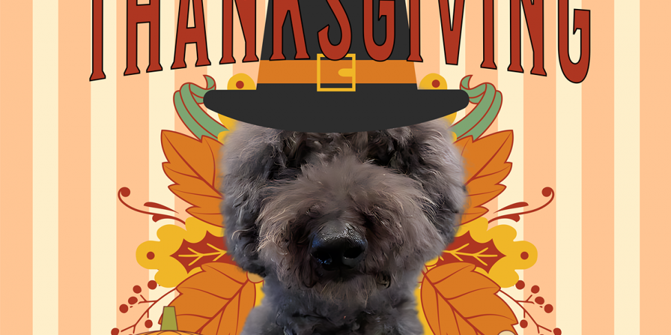 Happy Thanksgiving – Happy Thanksgiving