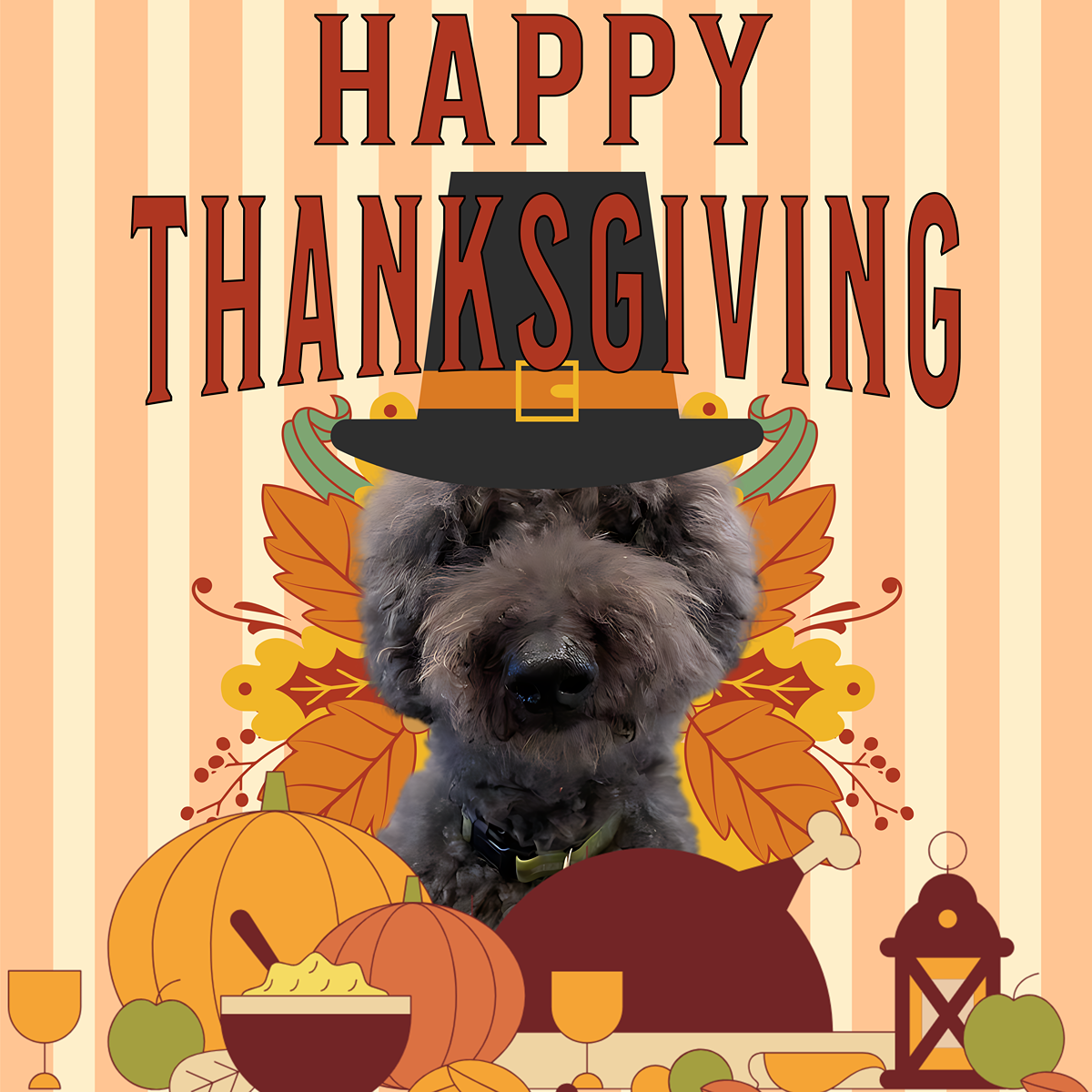 Happy Thanksgiving – Happy Thanksgiving