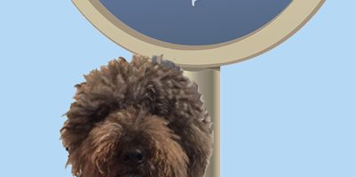 Alex Confused3-1xBsm