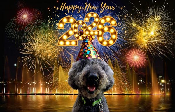 Happy-New-Year-2026-sm